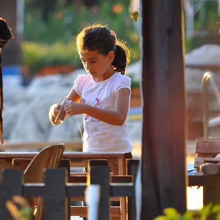 בית הארחה Simena *